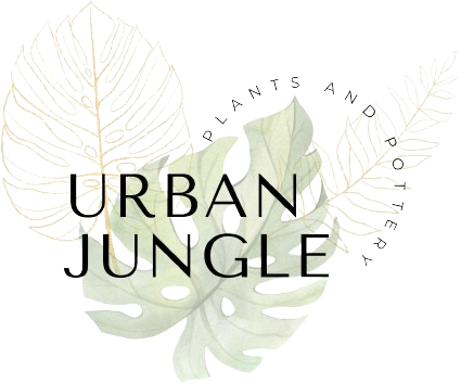 Urban Jungle Plants and Pottery