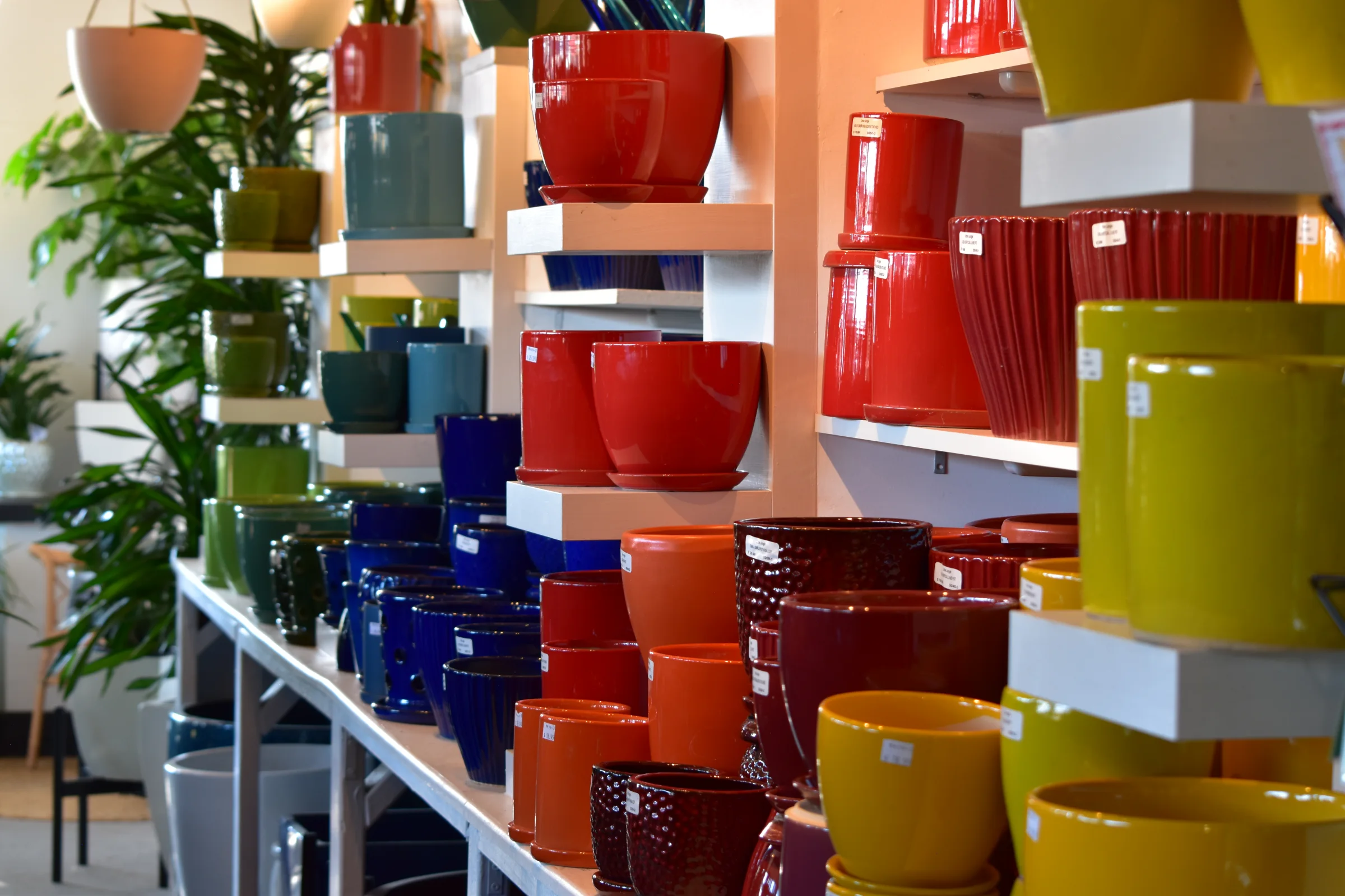 Colorful glazed pottery on display at Urban Jungle